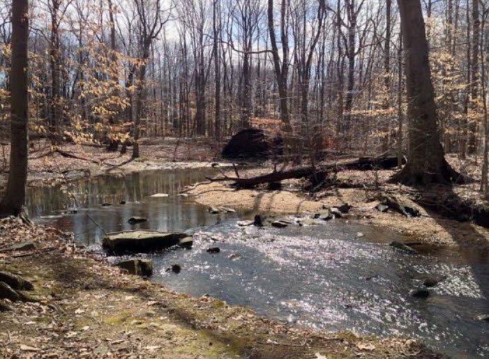 The Brook , , Ireland